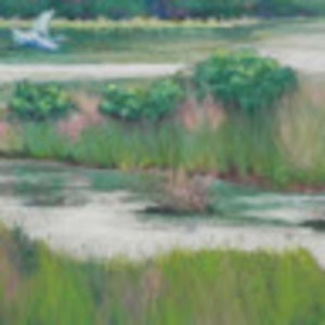 Meet your Posher, Connor